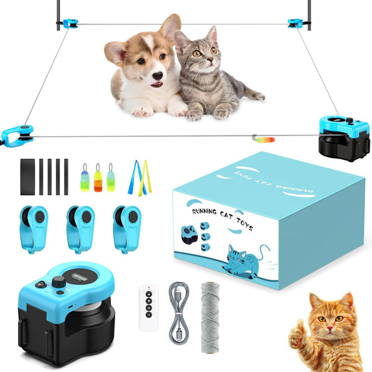 Rueda de Juego para Gatos