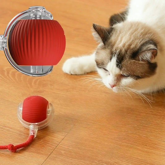 Juguete Inteligente para Gatos