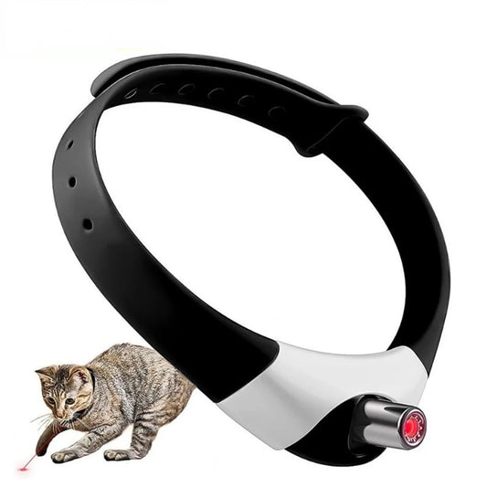 Collar Interactivo para Gatos