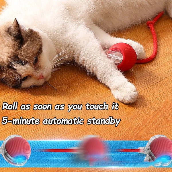 Bola Mágica para Gatos